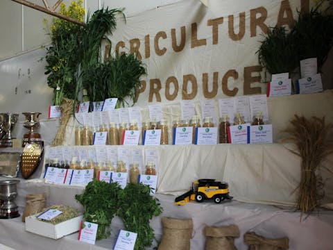 Peak Hill Agricultural Show